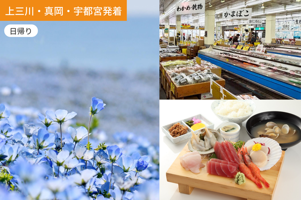 【上三川・真岡・宇都宮発着】ひたち海浜公園ネモフィラ鑑賞と那珂湊で海の幸を楽しむ旅【昼食付】/ WEB割引5%引き <日帰り>1